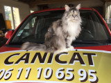 Canicat