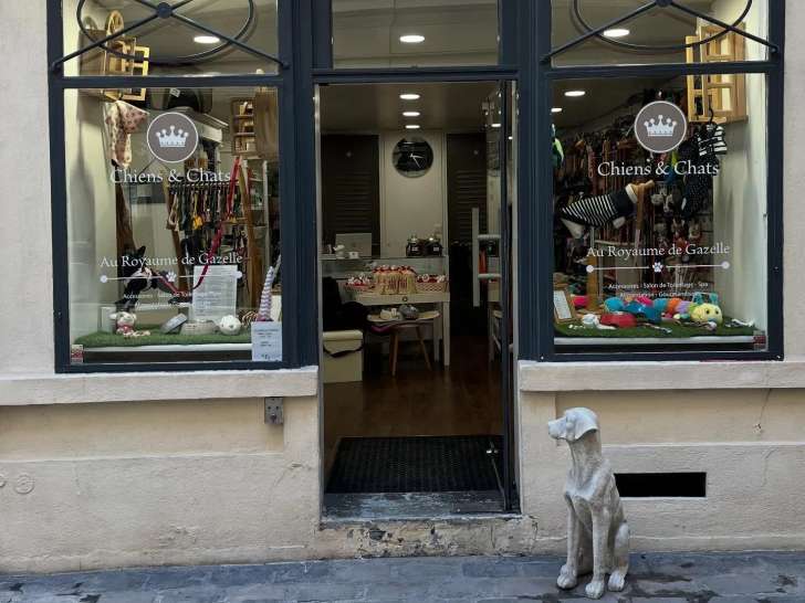 Au Royaume De Gazelle