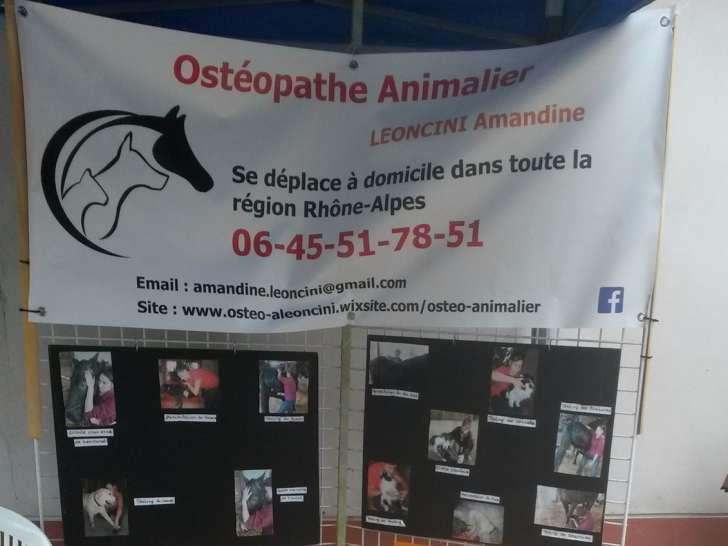 Ostéopathe Animalier Leoncini Amandine