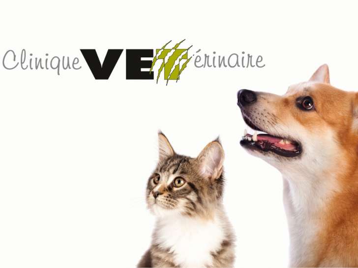 Clinique VETérinaire