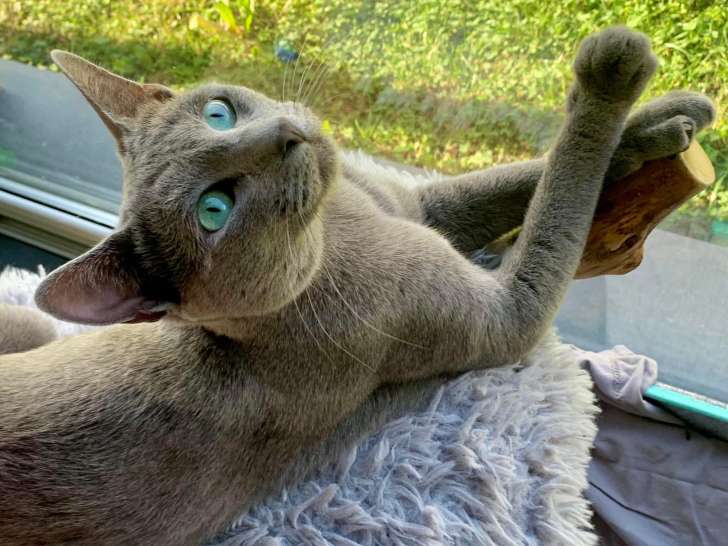 Des Trésors de Mahé