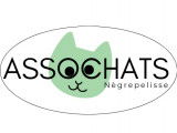 LOGO assochats