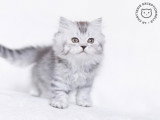 La Chatterie Exceptionnelle