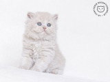 La Chatterie Exceptionnelle
