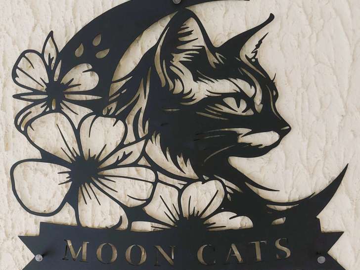 Moon Cats