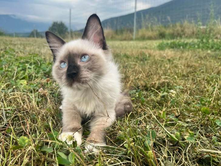 Domaine du Pont Pyrimont