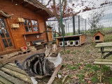 L'extérieur pour les chats