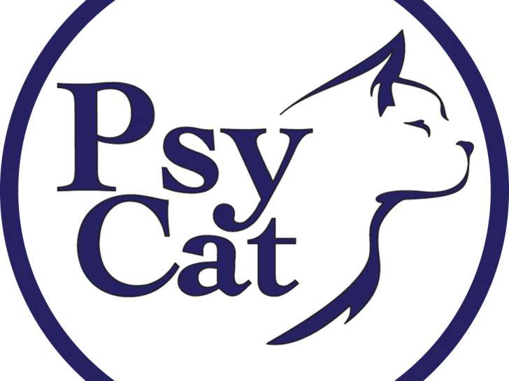 PsyCat