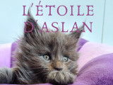 L'Étoile d'Aslan