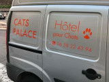 Cats Palace Hotel