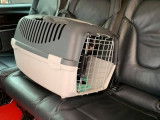 Cats Palace Hotel