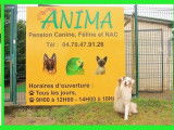 Anima
