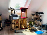 Garde Animaux Caen