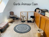 Garde Animaux Caen