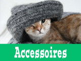 Accessoires pour chat