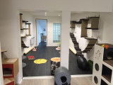 Le Loft Des Chats