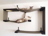 Le Loft Des Chats
