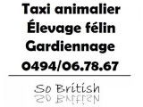So British