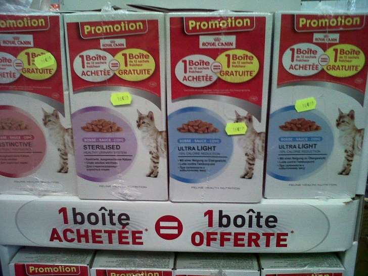 Esthétique Canin