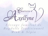 D'Axellyne