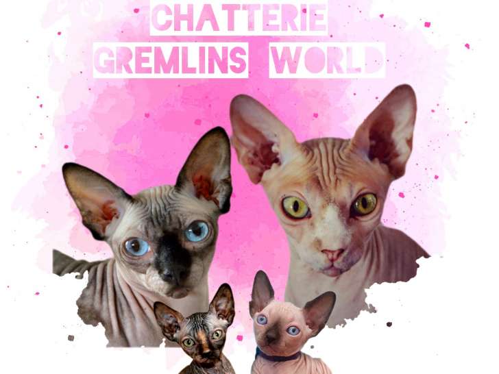 Gremlins World