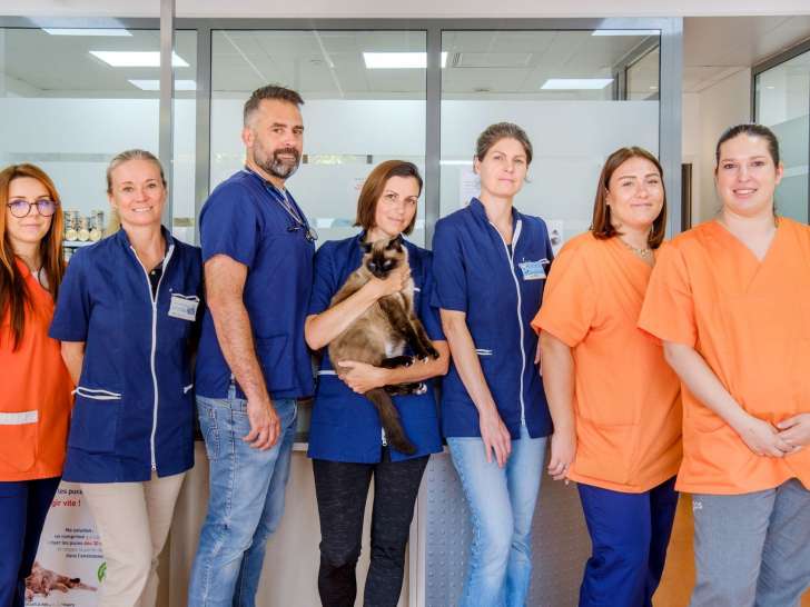 Clinique vétérinaire Argos Antibes Bel Air