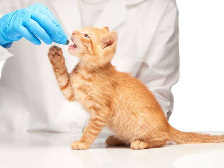Clinique vétérinaire de Viviers