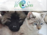 Vet&Sens