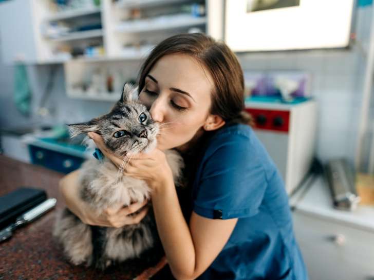 Clinique vétérinaire La Mayrale