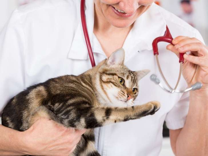 Pet Poison Helpline