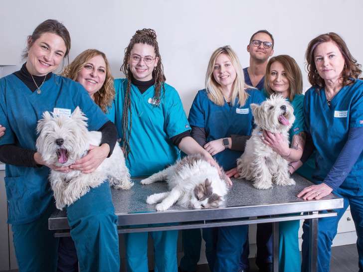 Clinique vétérinaire Mirabeau