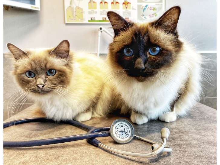 Clinique vétérinaire de la Burlière