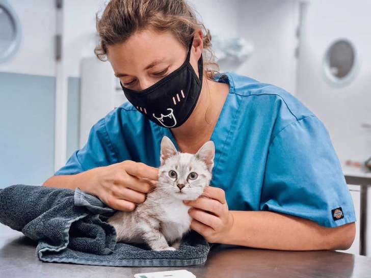 Clinique vétérinaire Vethorizon