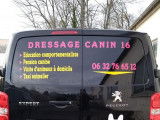 Dressage Canin 16