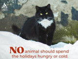 Humane Canada (Canadian Federation of Humane Societies)