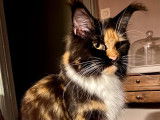 Thelma