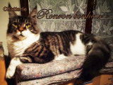 Qloonny De Great Goddess