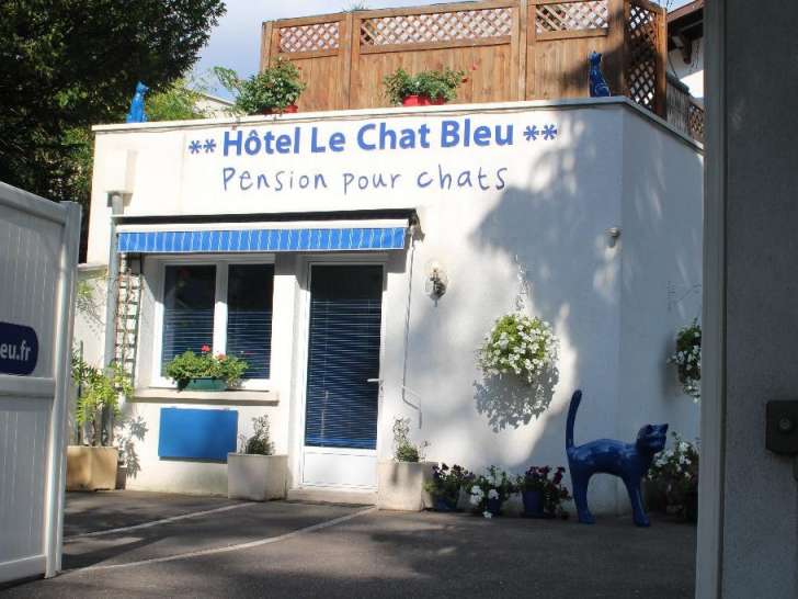 Hôtel Le Chat Bleu