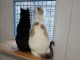 Jim et Compagnie