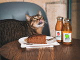 Le Chat Gourmand