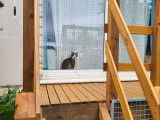 Chat-L'Heureux