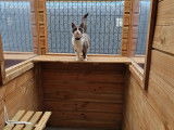 Chat-L'Heureux