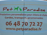 Pet Paradise