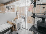 Animo Hotel