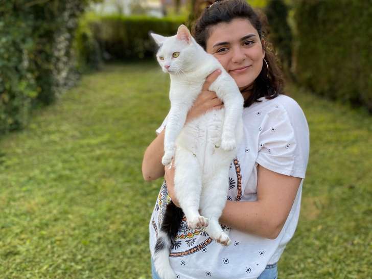 Sarah Langage Félin - Comportementaliste chat et Cat-sitter Amiens