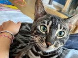 Catimini Caro