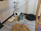 Kaz Le Chat l'heureux, 5 mètres carrés, différentes hauteurs, plusieurs cachettes, griffoirs, tout est à sa place pour que votre Miaouss passe d'agréables vacances !