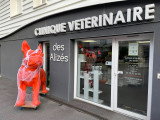 Clinique vétérinaire des Alizés