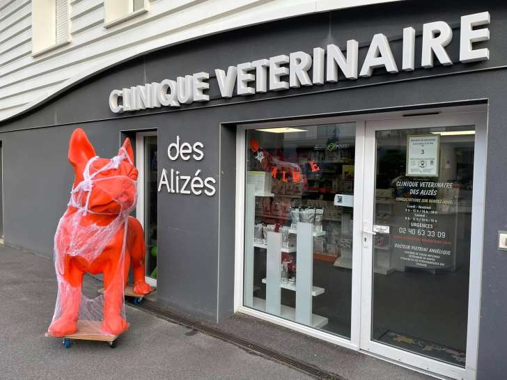 Clinique vétérinaire des Alizés