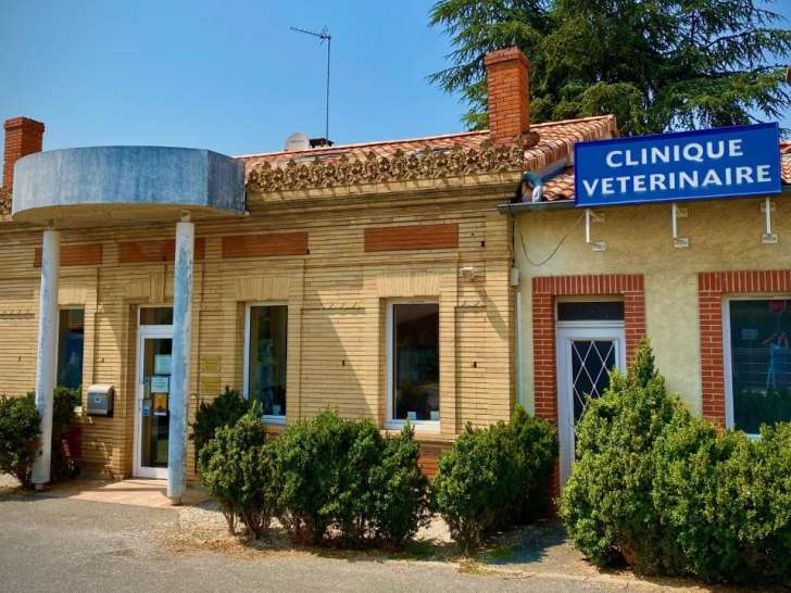 Clinique v&eacute;t&eacute;rinaire des A&ccedil;ores